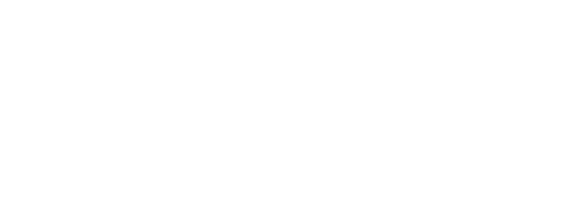 PLUS ONE LOGO 02